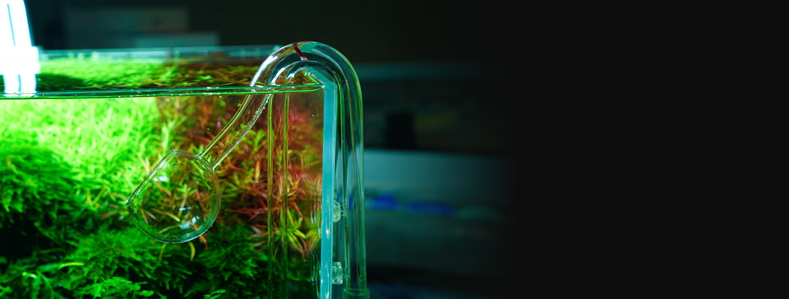 EU - Aquarium Accessories