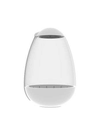 Chihiros tiny terrarium egg